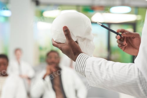 Preview: Doctors Studying Anatomy