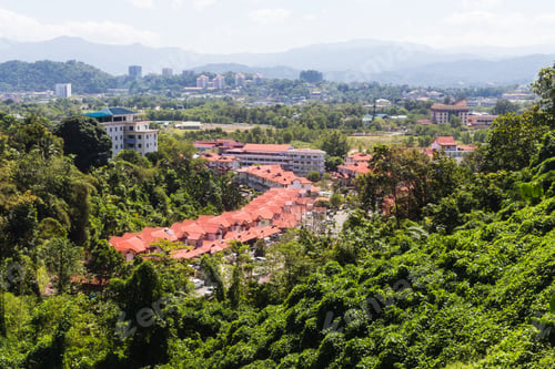 Preview: a small city surrounded by jungle