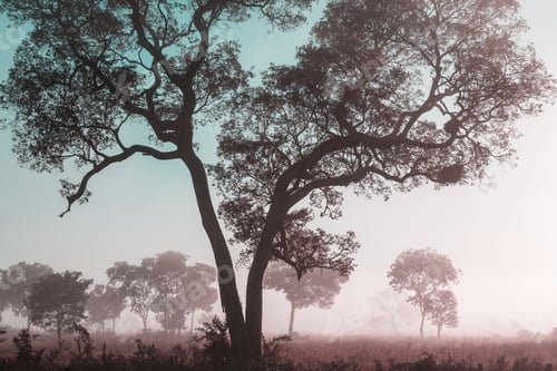 Preview: Rural landscapes in Brazil