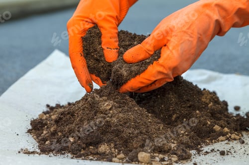 Preview: The process of preparing the soil for planting indoor plants
