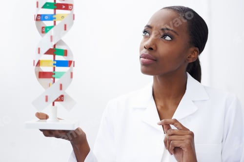 Preview: The building blocks of life