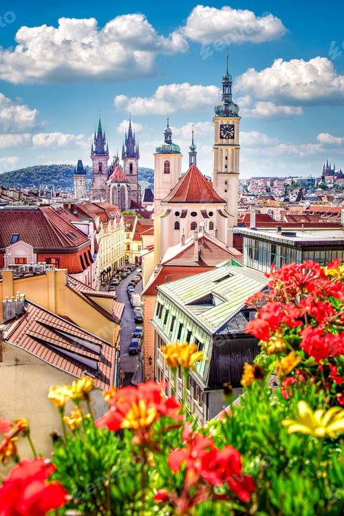 Preview: Fascinating buildings and structures in Prague with a variety of colorful flowers in the foreground
