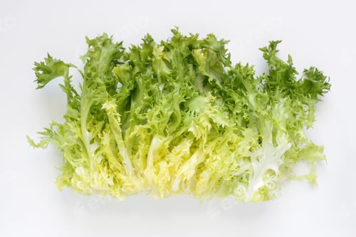 Preview: Endive lettuce