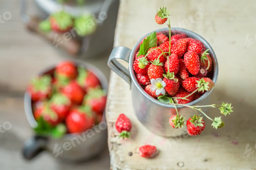 Preview: Juicy and fresh wild strawberries in old metal mug
