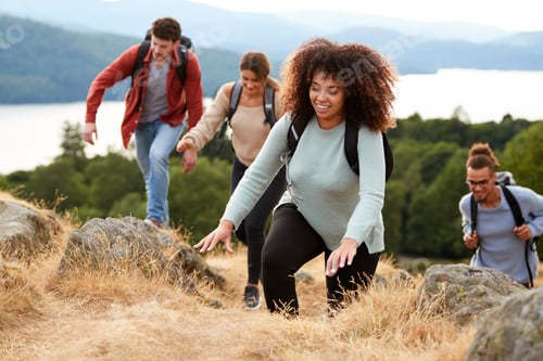 Preview: A multi ethnic group of young adult young adult friends smiling while climbing