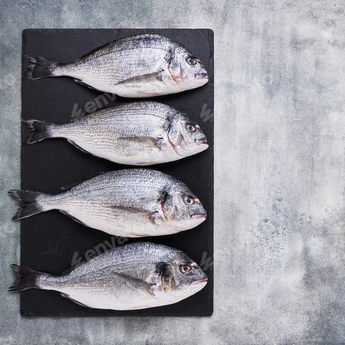 Preview: Four Fresh Royal Dorades on concrete gray backdrop. Healthy food concept. Top view, copy space.