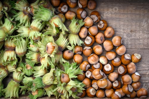 Preview: Fresh hazelnuts with green husks in wooden box