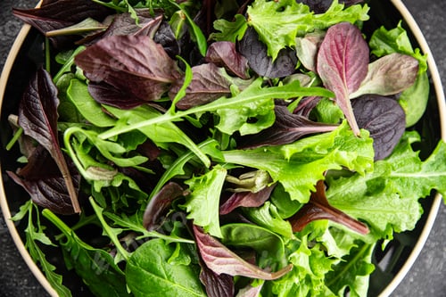Preview: Healthy salad leaves mix salad juicy snack micro greens, arugula, lettuce, oak leaf, green leaf