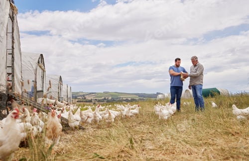Preview: Taking great care of all their livestock