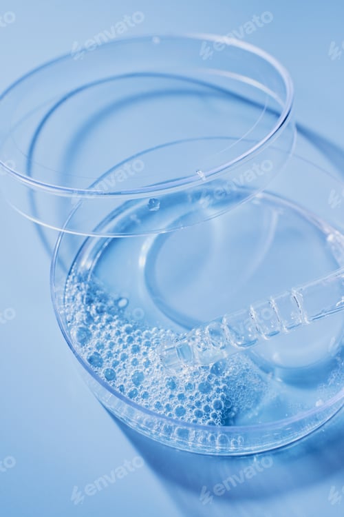 Preview: Science experiment showing liquid with bubbles and dropper in sterile petri dish