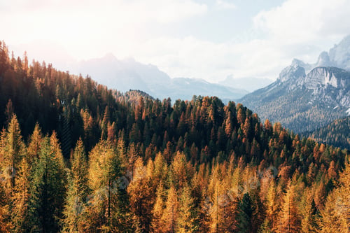 Preview: Great distance. Majestic mountains with beautiful autumn woods at sunny day. Beautiful landscape