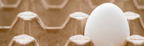 Preview: Close up view of white raw egg in recyclable cardboard tray, banner