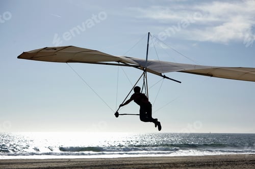 Preview: Hang glider pilot landing on beach