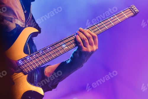 Preview: A bassist plays in pop concert