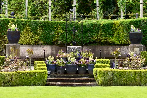 Preview: Green lawn leading to cement steps and colorful spring tulips in large pots at Butchart Gardens.