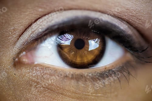 Preview: Closeup shot of a beautiful brown eye