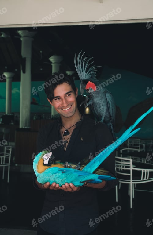 Preview: Happy Man with Birds