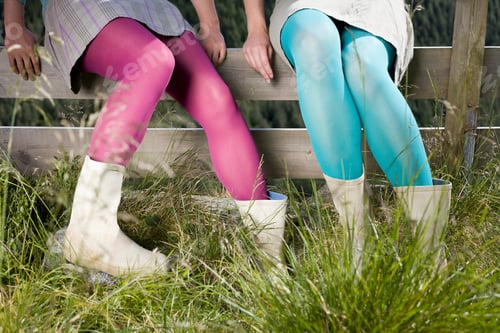 Preview: Two friends sitting on a fence enjoying a day out in nature.