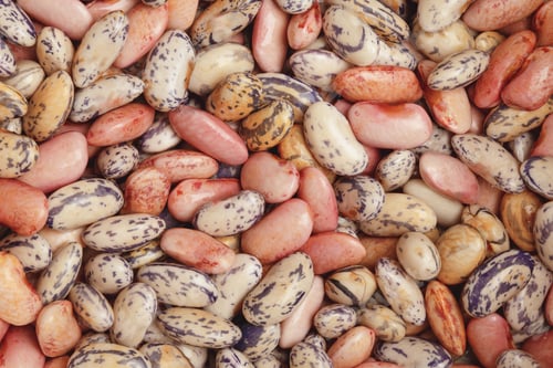 Preview: Fresh raw beans.