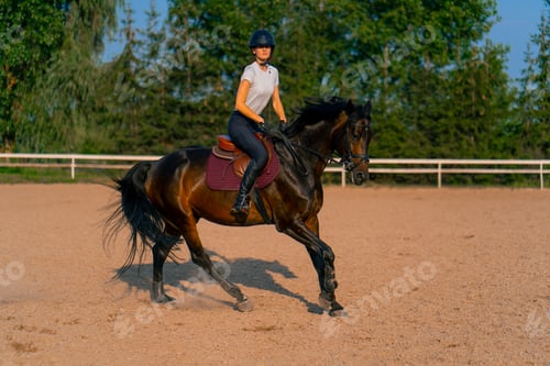 Preview: A horsewoman dressed in a helmet rides her black horse in a horse riding arena horseback ride