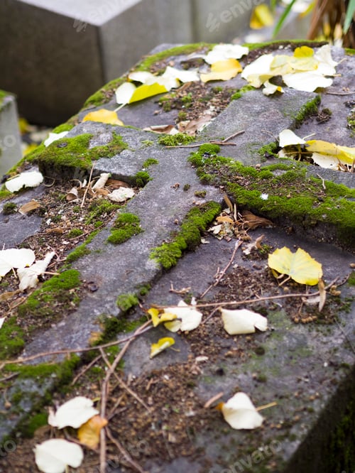 Preview: old nameless tombstone in cemetery
