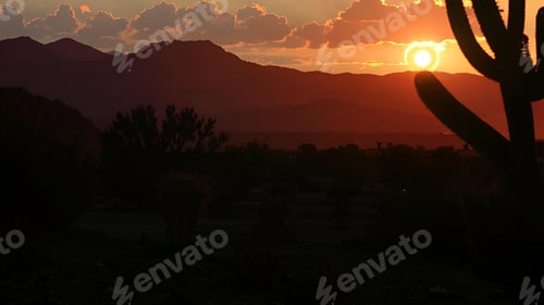 Preview: Desert sunset with silhouetted cacti and mountains.