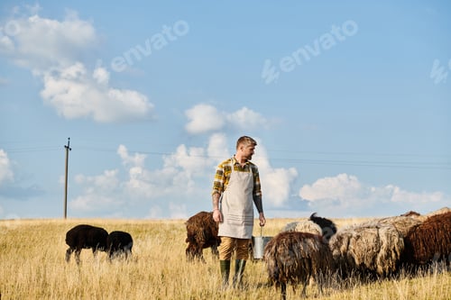 Preview: attractive hard working farmer with beard holding bucket with milk surrounded by sheeps and lambs