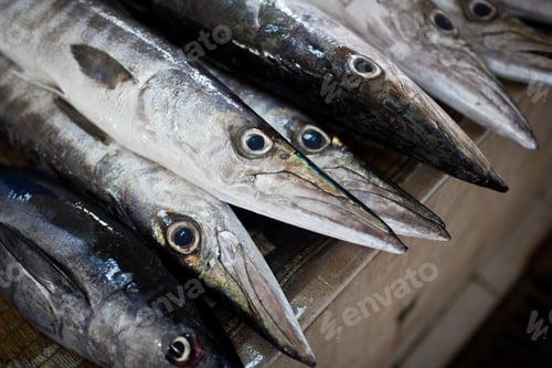 Preview: Close up of fish on display in a fish market (Muscat, Oman)