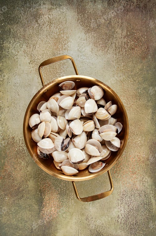 Preview: freshly frozen vongole clams, in a frying pan, top view, no people,