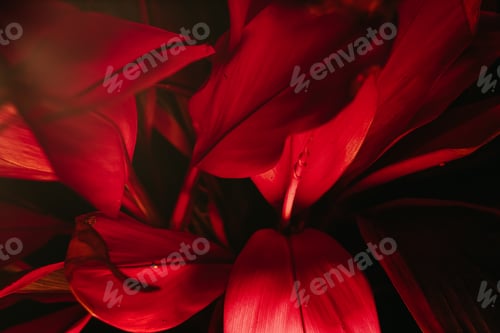 Preview: red leafs background texture