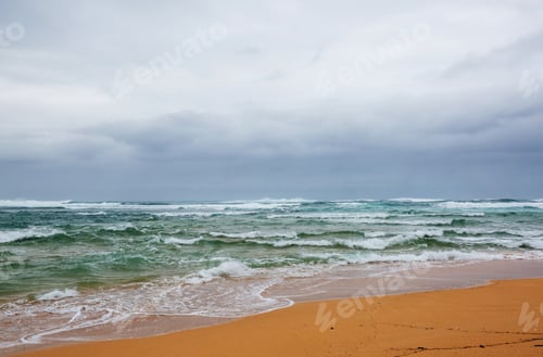 Preview: Wave
