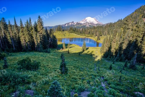 Preview: Morning On Tipsoo Lake In Mt Rainier National Park, Washington