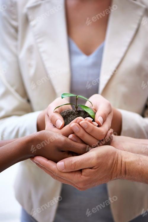 Preview: Your business takes nurturing