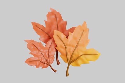 Preview: Cluster of three autumnal leaves
