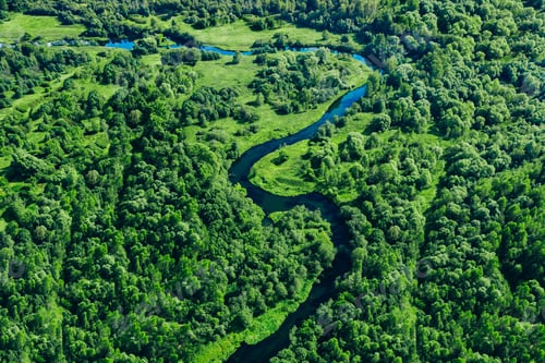 Preview: Aerial drone view of blue curved river and green summer woods