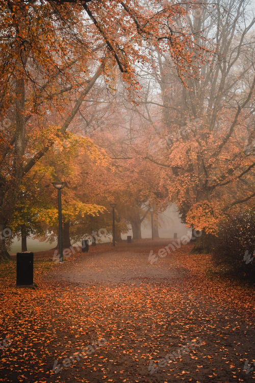 Preview: Photo of a path in park while foggy weather