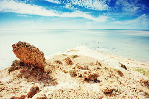 Preview: rocky sea coast in the summer. Beauty world