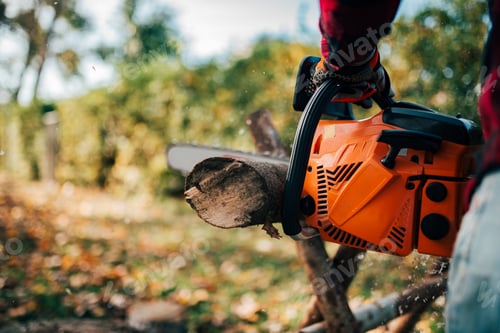 Preview: Cutting tree trunk with chainsaw, copy space.