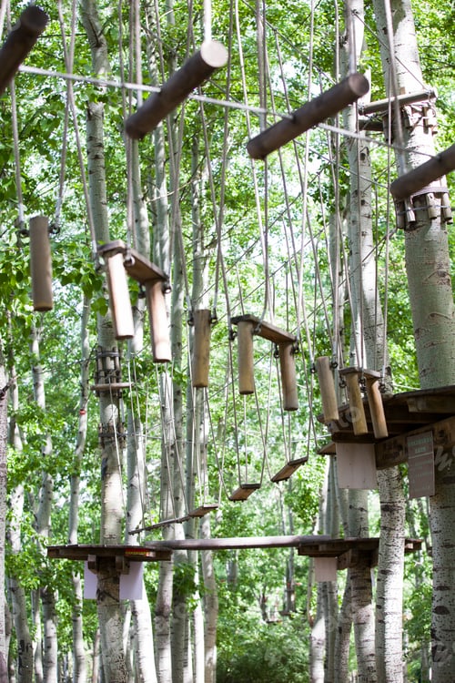 Preview: Tree top adventure park