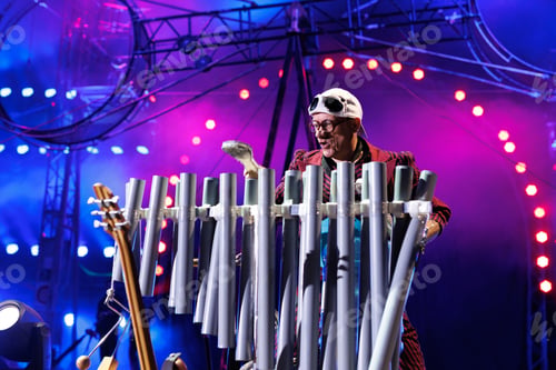 Preview: A clown entertains guests in the circus arena in the light of spotlights and smoke, plays a trumpet.