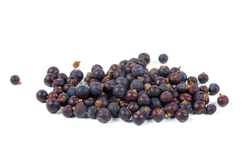 Preview: Dried Juniper Berries isolated on white background