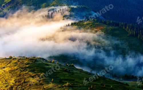 Preview: Picturesque summer landscape in sunny day