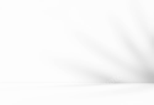 Preview: Empty white room studio with leaves shadow overlay effect for product presentation.