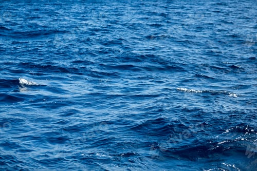 Preview: Blue ocean