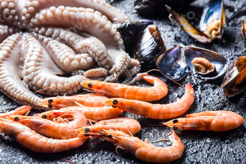 Preview: Freshly caught seafood