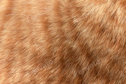 Preview: Cat fur texture background.
