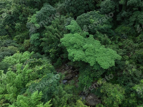Preview: Aerial view of beautiful tropical forest mountain landscape