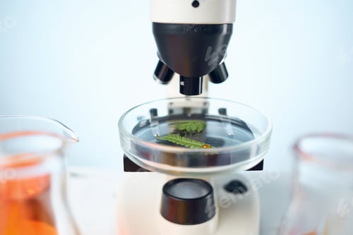 Preview: scientist sitting at the table microscope research Studio
