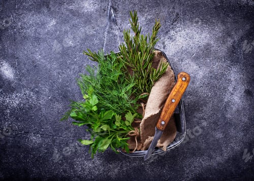 Preview: Mix of herbs. Rosemary, dill and parsley