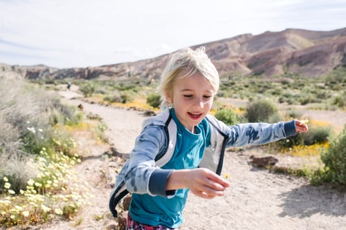 Preview: Boy running with flower in hand, Red Rock Canyon, Cantil, California, United States
